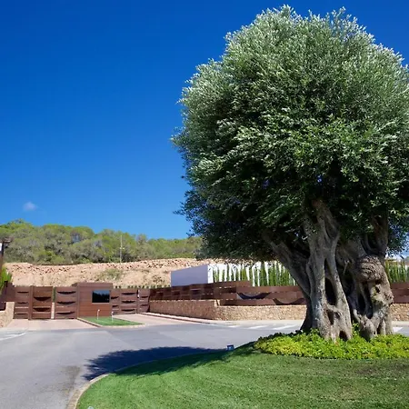 Contemporary Ibizan Cala Conta Dream Short Walk To San Jose Villa Cala Comte